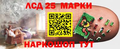 шишки Канаш