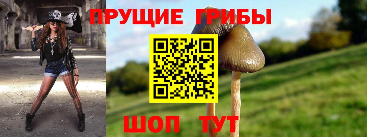Псилоцибиновые грибы Magic Shrooms Москва